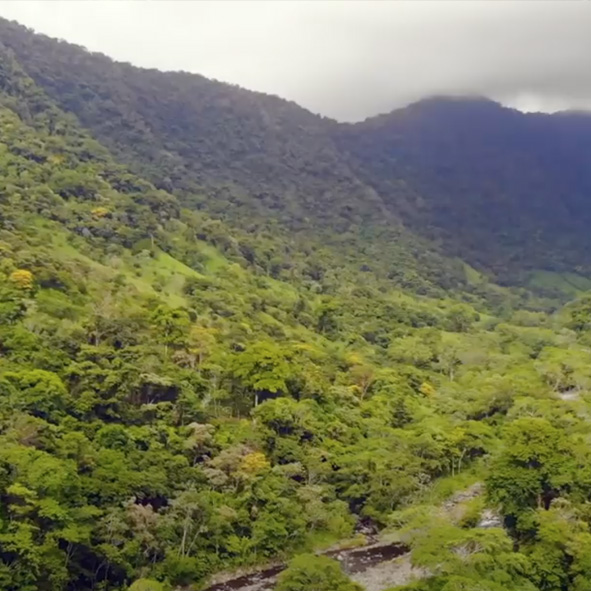 Reserva de la Biosfera Los Tuxtlas